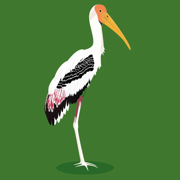 Pittura Cicogna Fumetto Uccello Vettore Illustrazione — Vettoriale Stock