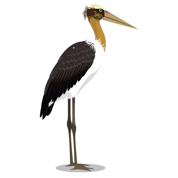 Lesser adjutant stork cartoon bird — Stock Vector