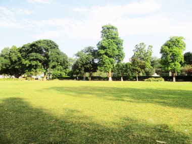 mavi gökyüzü bulutlar ağaçlar ve manzara