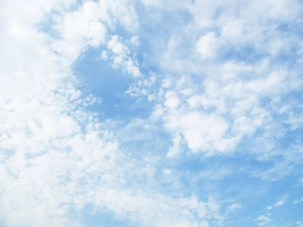 Ciel Bleu Nuages Arbres Paysage — Photo