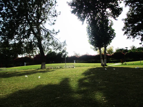 Ciel Bleu Nuages Arbres Paysage — Photo