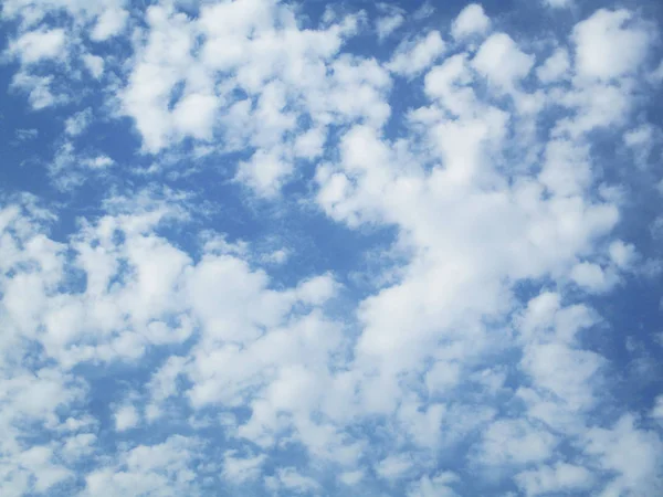 Ciel Bleu Nuages Arbres Paysage — Photo