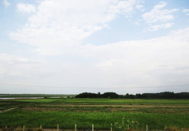 mavi gökyüzü bulutlar ağaçlar ve manzara