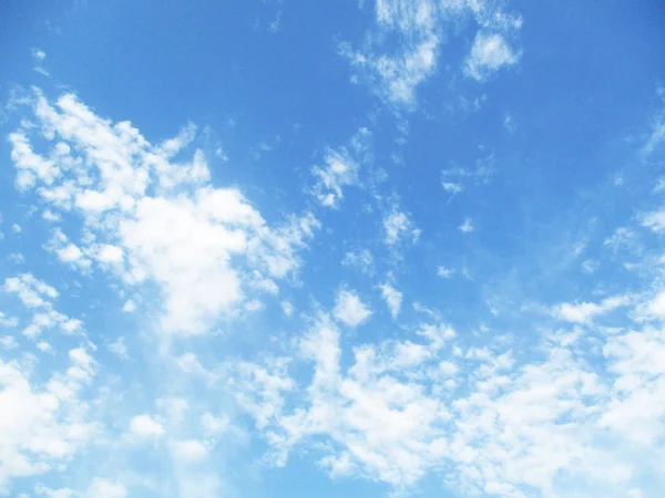 Ciel Bleu Nuages Arbres Paysage — Photo