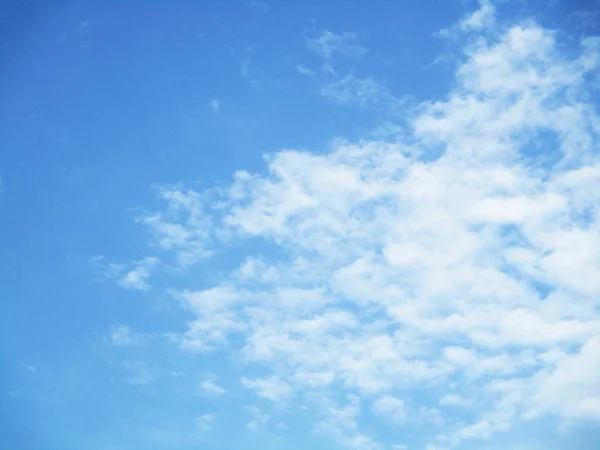 Ciel Bleu Nuages Arbres Paysage — Photo