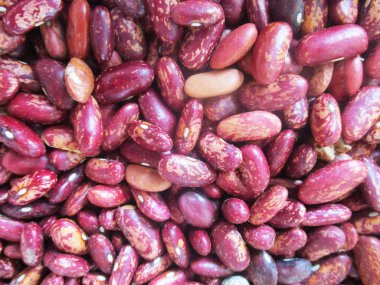 Gıda, otlar ve kuru meyve