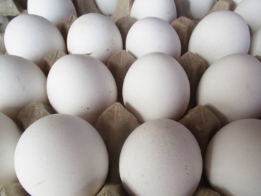 Gıda, otlar ve kuru meyve