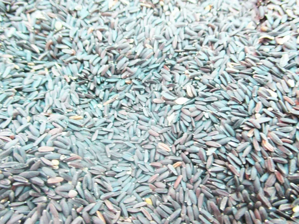 Продукты Питания Травы Сухофрукты — стоковое фото