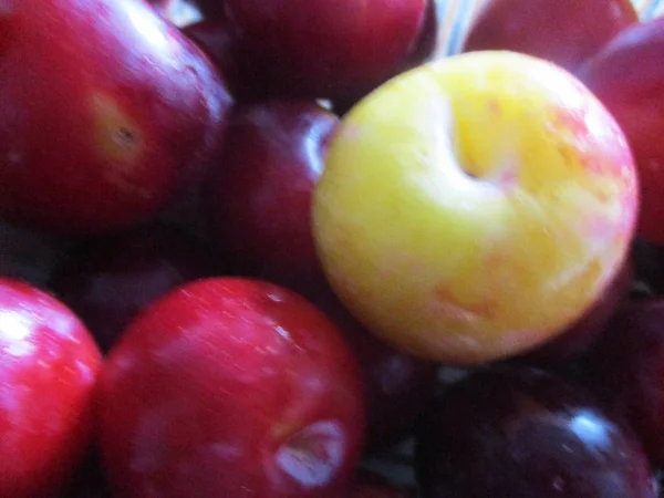 Frutas Frescas Durante Toda Estação — Fotografia de Stock