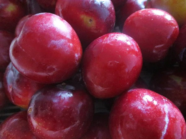 Frutas Frescas Durante Toda Estação — Fotografia de Stock