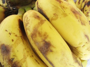 taze meyve bütün sezon