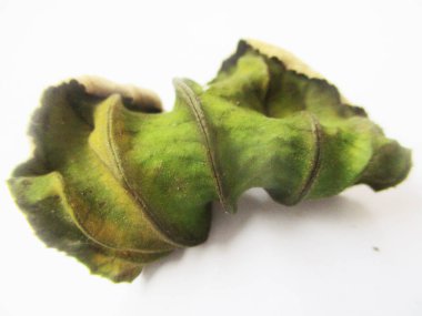 beyaz izole arka plan üzerinde sonbahar sonbahar yaprakları