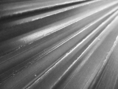 Doğa arka plan siyah ve beyaz çiçek yaprakları