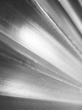 Doğa arka plan siyah ve beyaz çiçek yaprakları