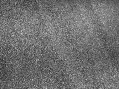 Siyah arka plan doğa, yaprak, bitki ve çiçek Fotoğrafçılık