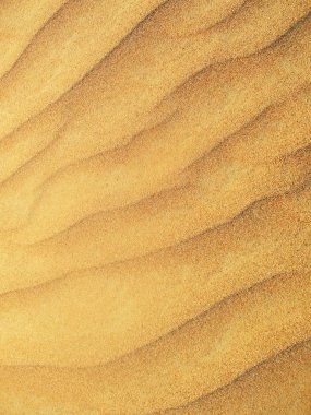 Altın kum manzara çöl