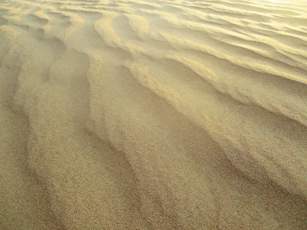Pouštní Krajina Zlatý Písek — Stock fotografie