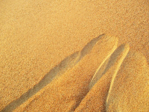Pouštní Krajina Zlatý Písek — Stock fotografie