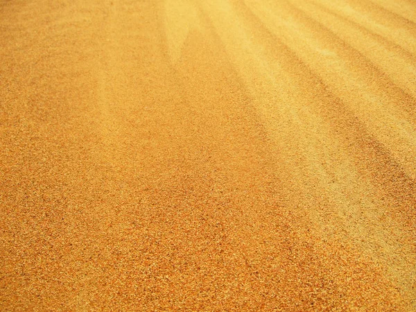 Deserto Golden Sand Paisagem — Fotografia de Stock