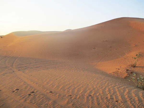 Sivatagi Arany Homok Táj — Stock Fotó
