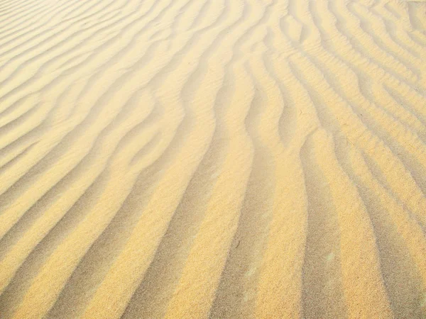 Deserto Golden Sand Paisagem — Fotografia de Stock