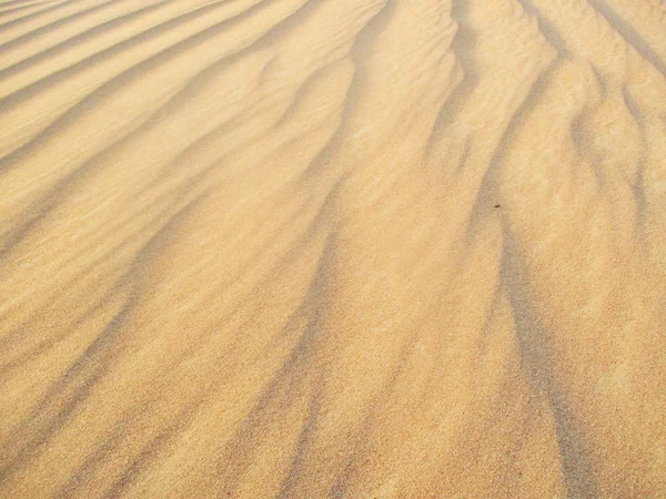 Paysage Sable Doré Désert — Photo