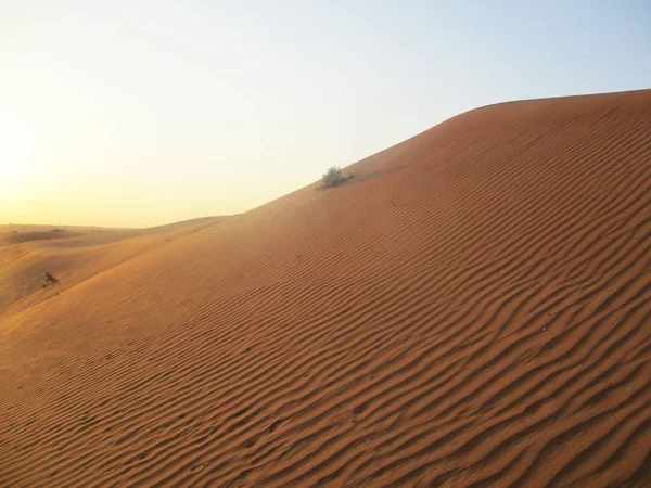 Deserto Golden Sand Paesaggio — Foto Stock