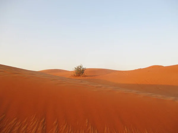 Golden Sand Ökenlandskap — Stockfoto