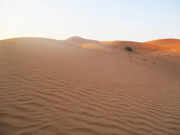 Deserto Golden Sand Paisagem — Fotografia de Stock