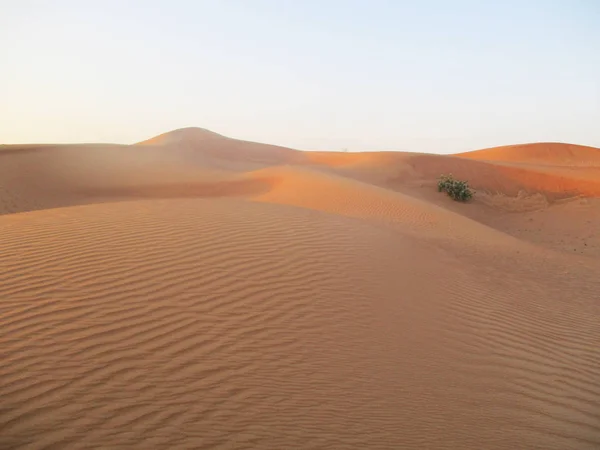 Deserto Golden Sand Paisagem — Fotografia de Stock