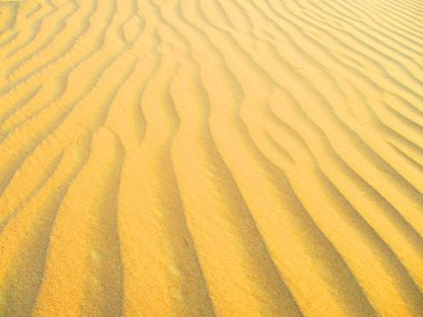 sahara çöl kumulları