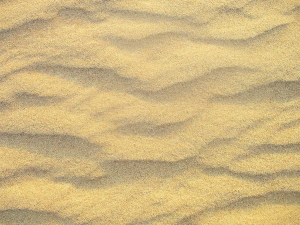 Dune Sabbia Nel Deserto Del Sahara — Foto Stock