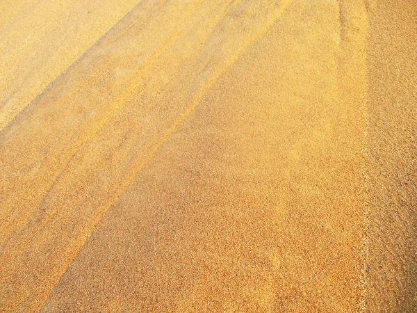 Dunes Sable Dans Désert Sahara — Photo