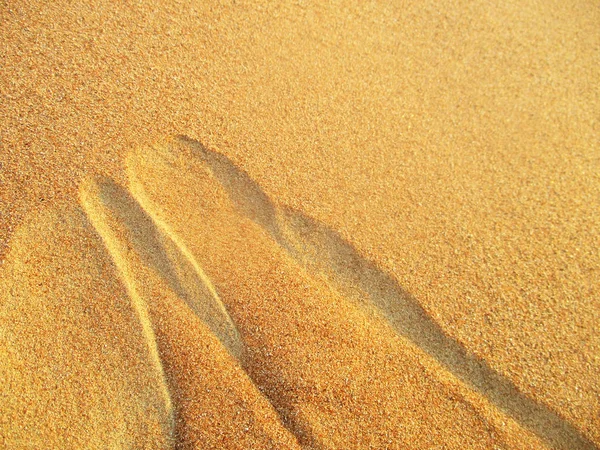 Dune Nisip Deșertul Sahara — Fotografie, imagine de stoc