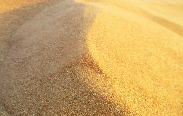 Dunas Areia Saara — Fotografia de Stock