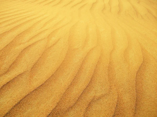 Zandduinen Saharawoestijn — Stockfoto