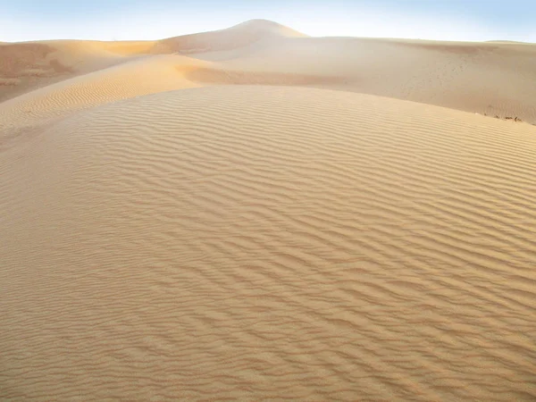 Zandduinen Saharawoestijn — Stockfoto