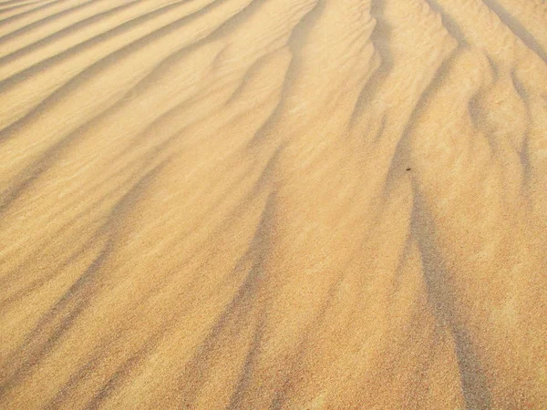 Dunes Sable Dans Désert Sahara — Photo