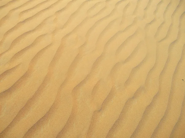 Dunes Sable Dans Désert Sahara — Photo