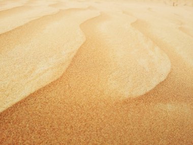 sahara çöl kumulları