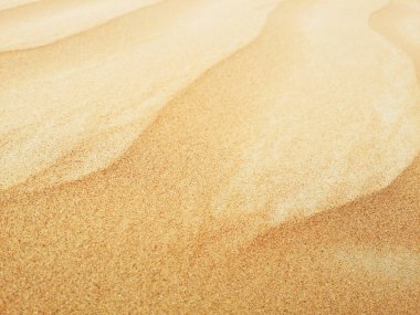 sahara çöl kumulları