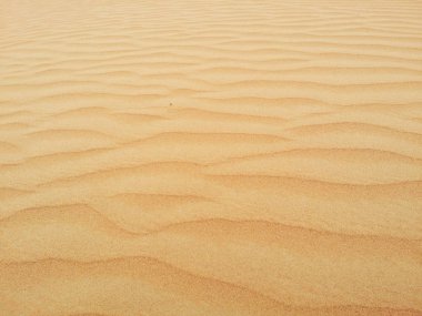 sahara çöl kumulları