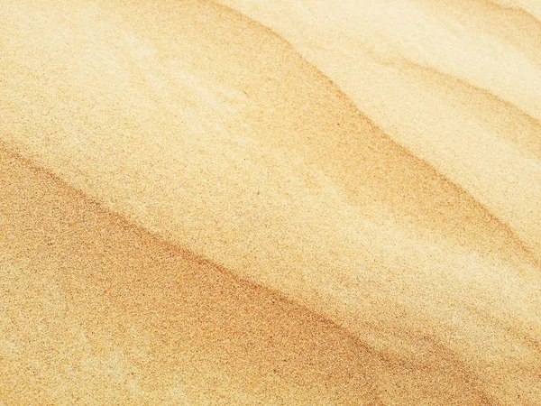 Wydmy Pustyni Sahara — Zdjęcie stockowe