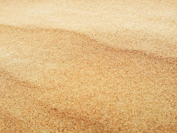 Dunas Areia Saara — Fotografia de Stock