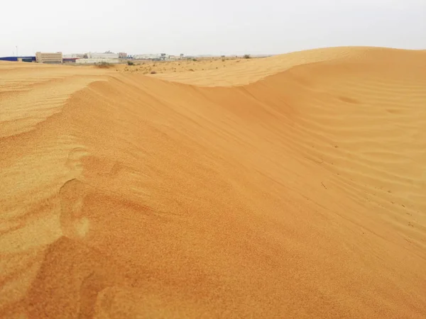 Sanddünen Der Wüste Sahara — Stockfoto