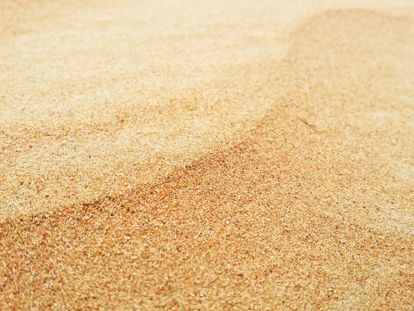 Sanddünen Der Wüste Sahara — Stockfoto