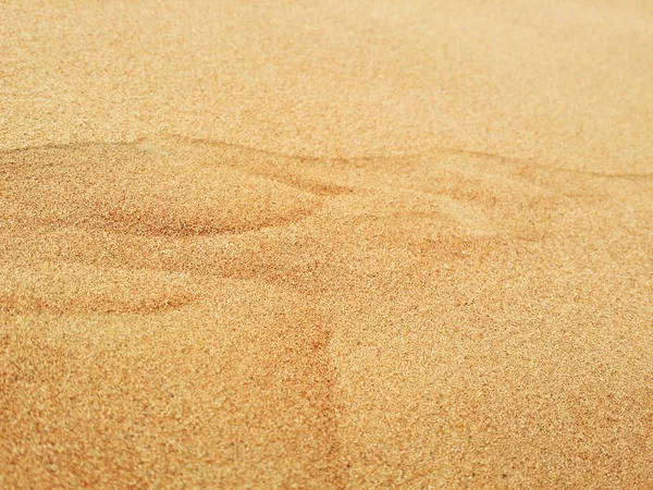 Dune Sabbia Nel Deserto Del Sahara — Foto Stock
