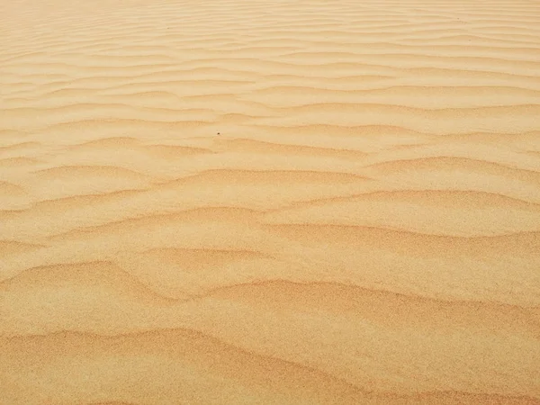 Dunes Sable Dans Désert Sahara — Photo