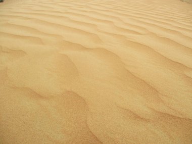 sahara çöl kumulları