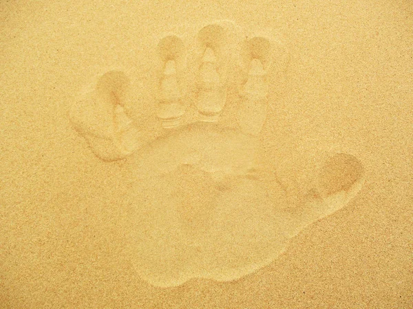 Sand Dunes Sahara Desert — Stock Photo, Image